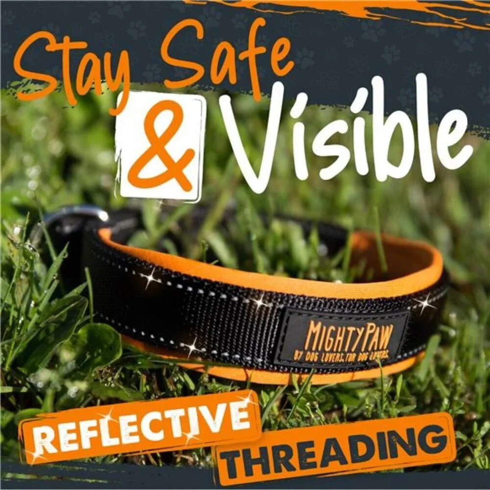 Sport Collar 2.0 | Soft Neoprene Padded Dog Collar for Maximum
